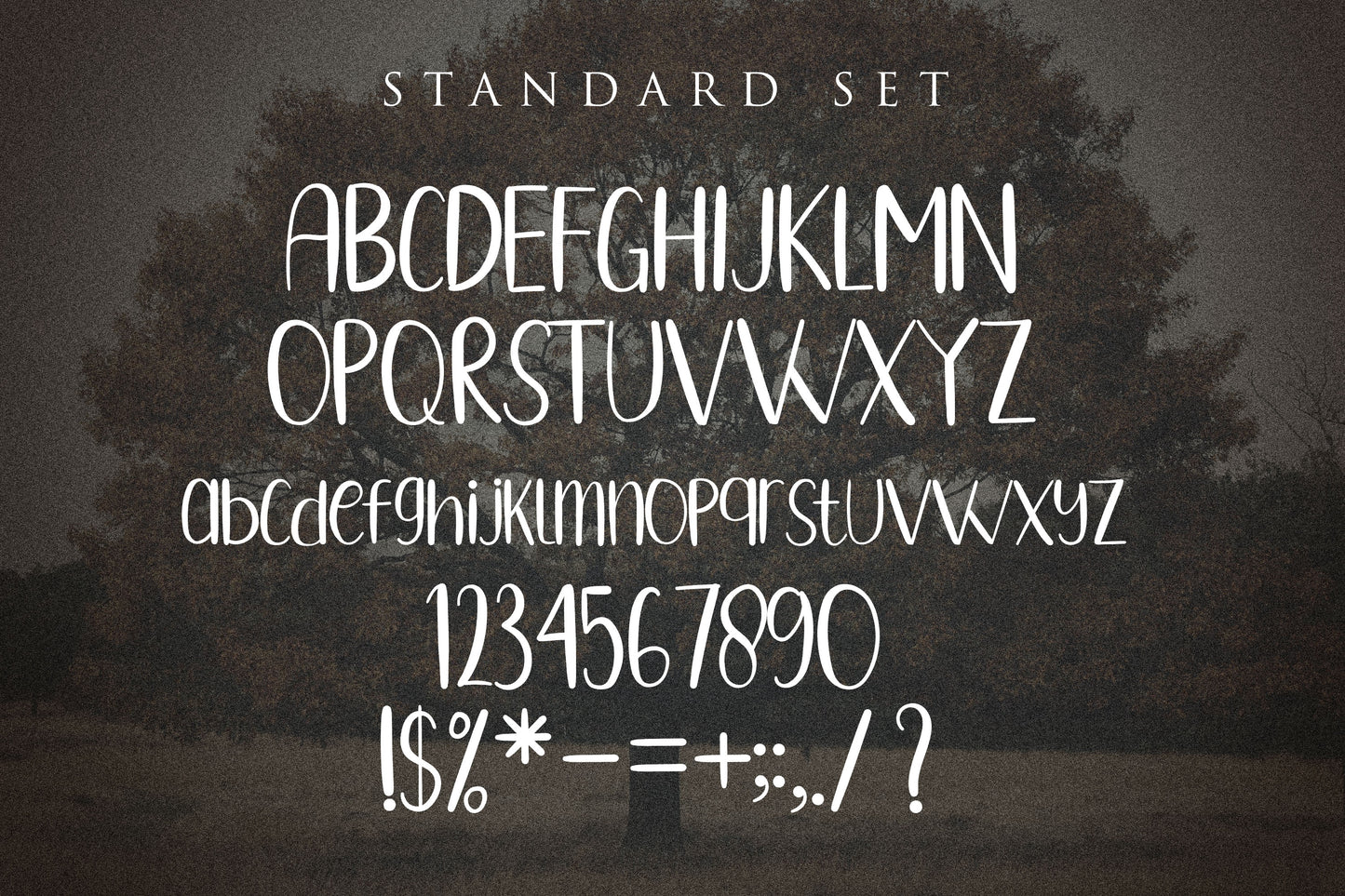 Oakstree - Casual Display Font