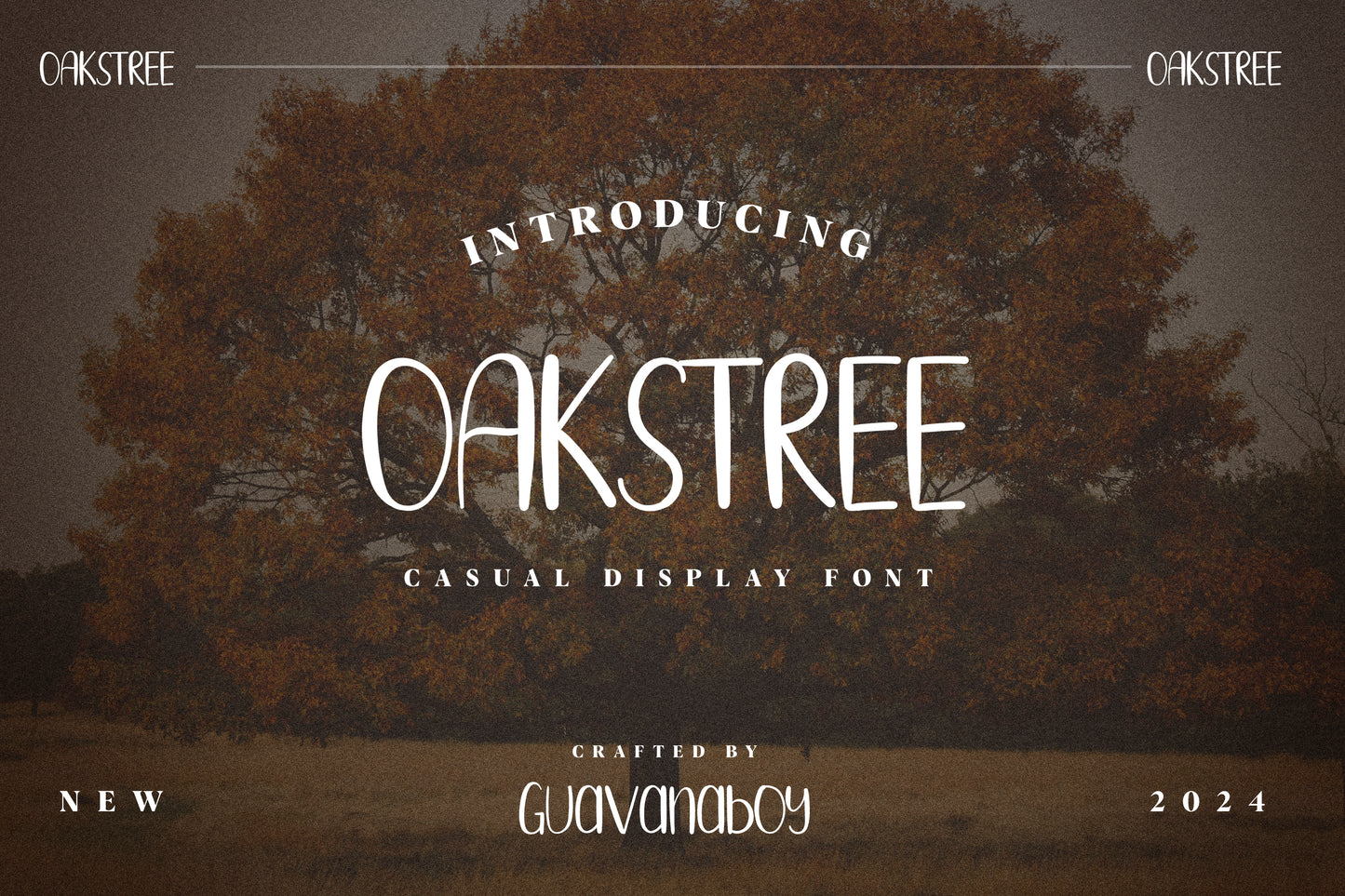 Oakstree - Casual Display Font